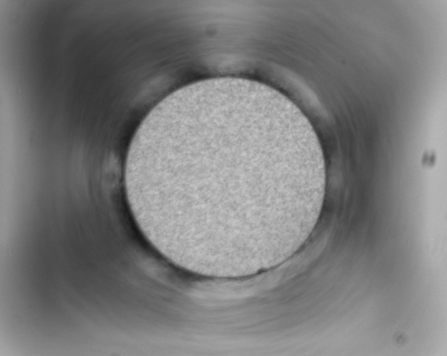X0000103130025200809191952