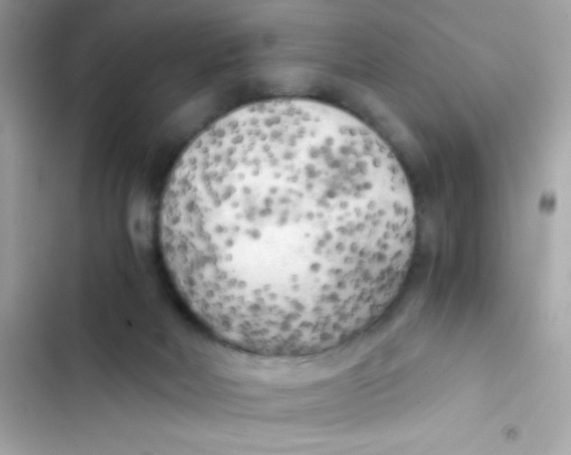 X0000103130026200809191952