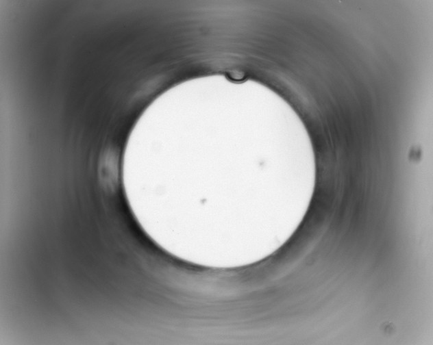 X0000103130028200809191951