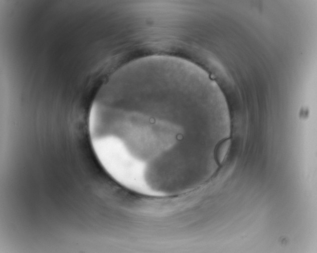 X0000103130029200809191951