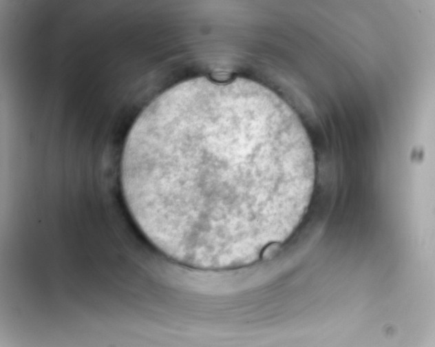 X0000103130030200809191951