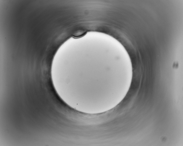 X0000103130031200809191951
