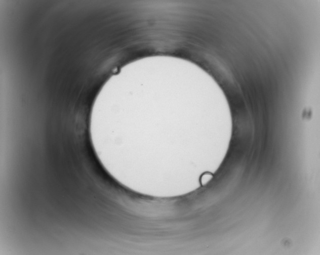 X0000103130032200809191951