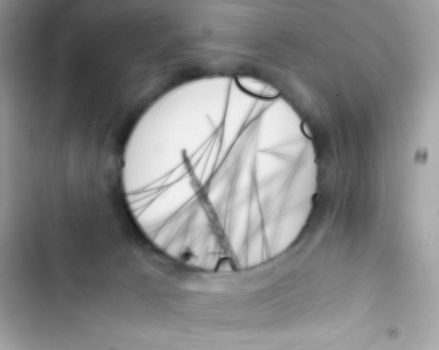 X0000103130033200809191951