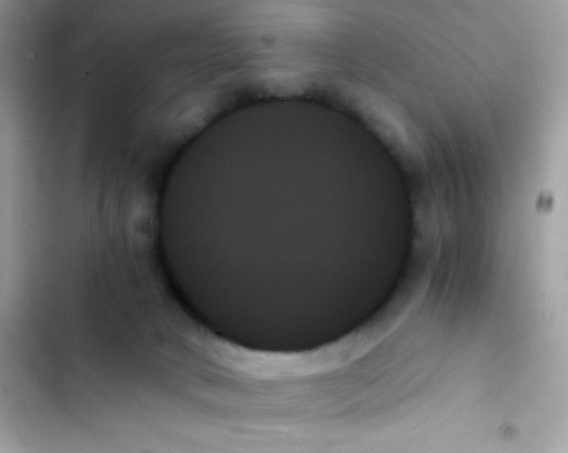 X0000103130034200809191951