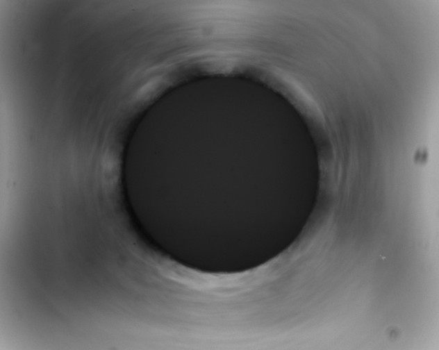 X0000103130035200809191951
