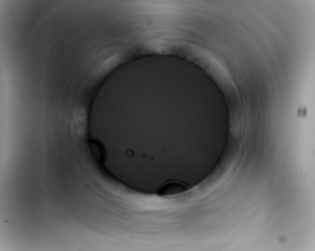 X0000103130036200809191951