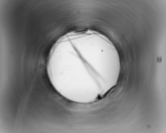X0000103130037200809191951