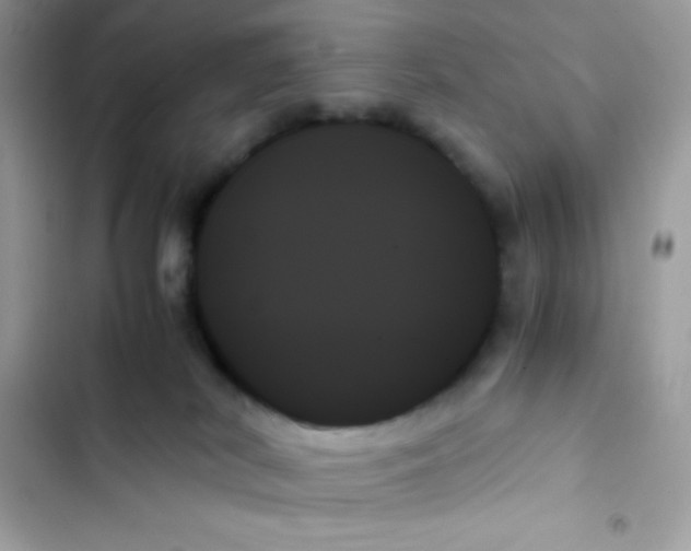 X0000103130038200809191951