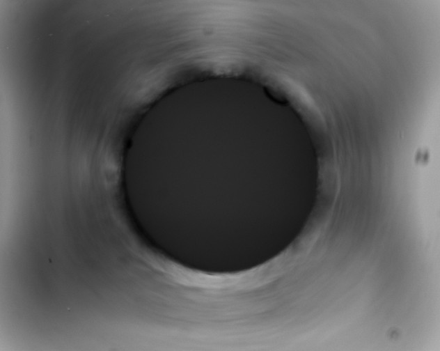 X0000103130039200809191951