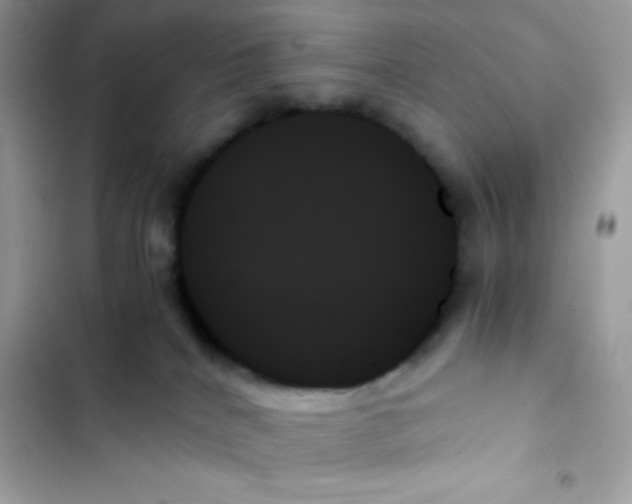 X0000103130040200809191951