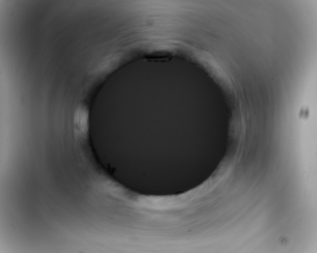 X0000103130041200809191951