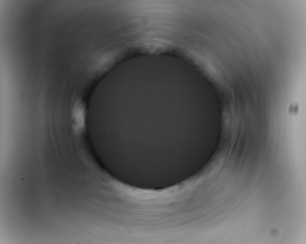 X0000103130042200809191951