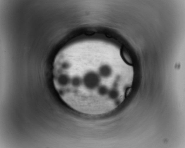 X0000103130043200809191951
