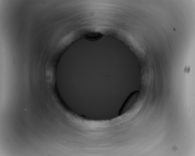 X0000103130044200809191951