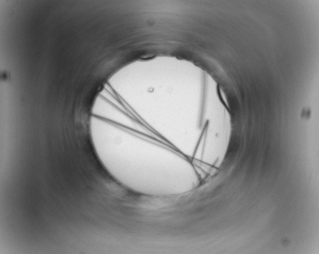 X0000103130045200809191951
