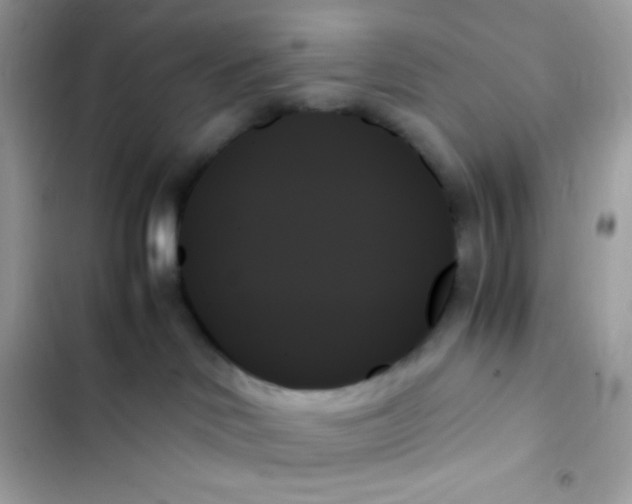 X0000103130046200809191951