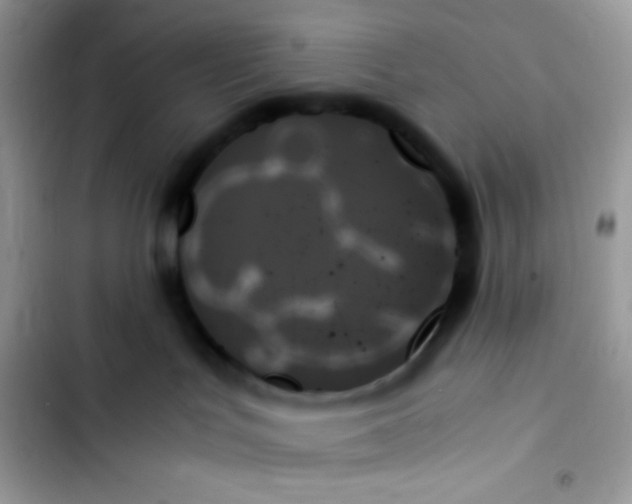 X0000103130047200809191951