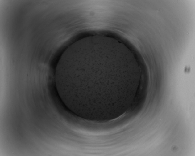 X0000103130048200809191951