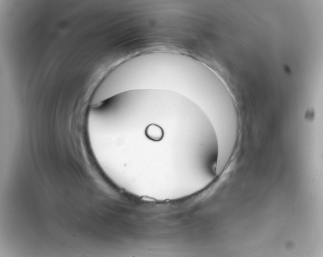 X0000103130049200809191951