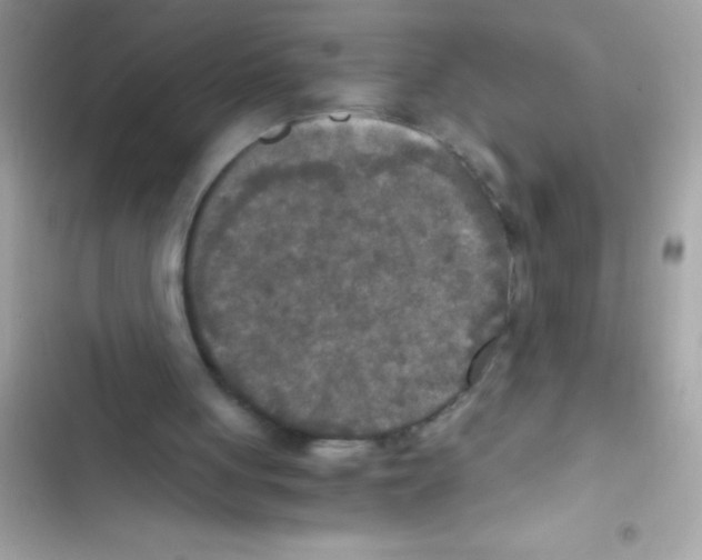X0000103130051200809191951