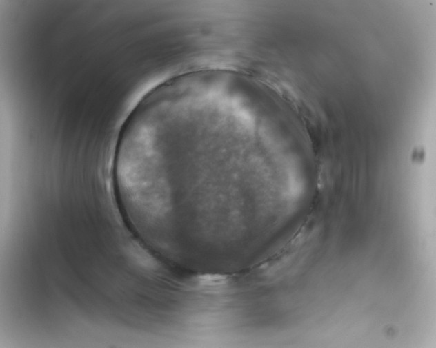 X0000103130052200809191951