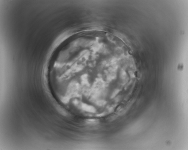 X0000103130053200809191951
