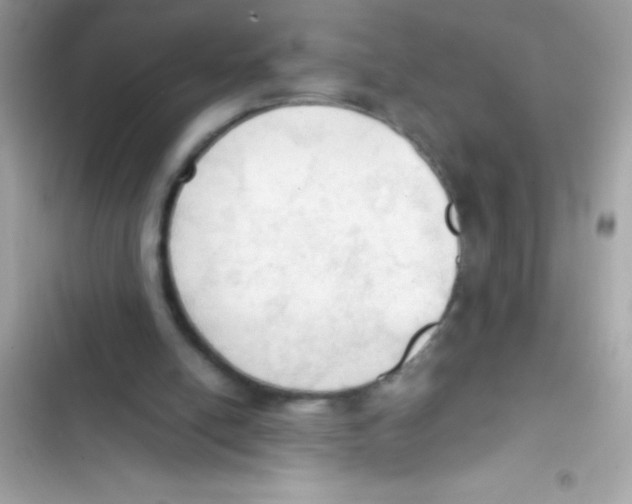 X0000103130054200809191951