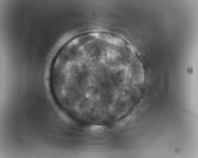 X0000103130055200809191951