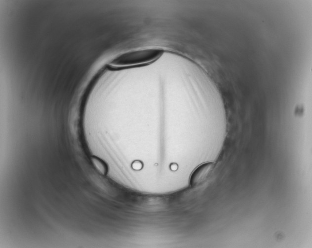 X0000103130056200809191951