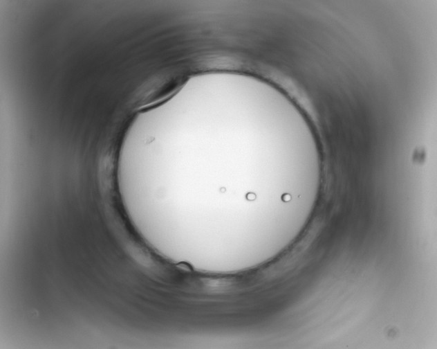 X0000103130057200809191951
