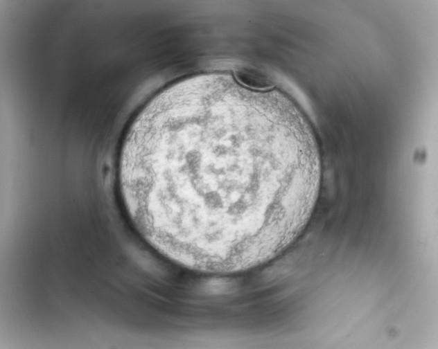 X0000103130059200809191951