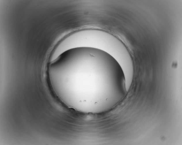 X0000103130060200809191951