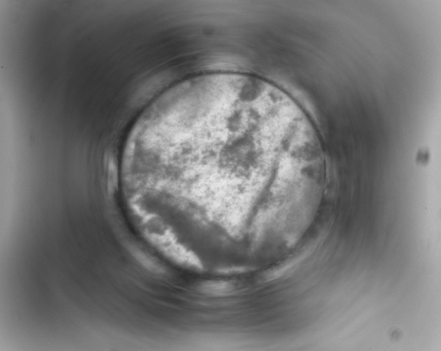 X0000103130061200809191951