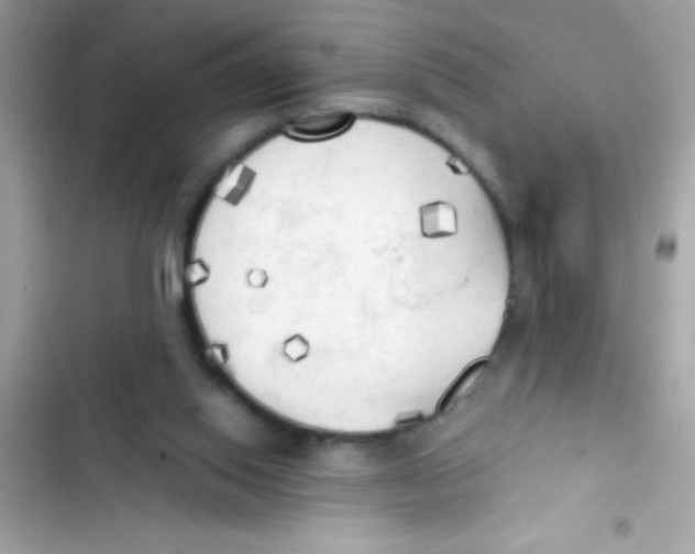 X0000103130062200809191951