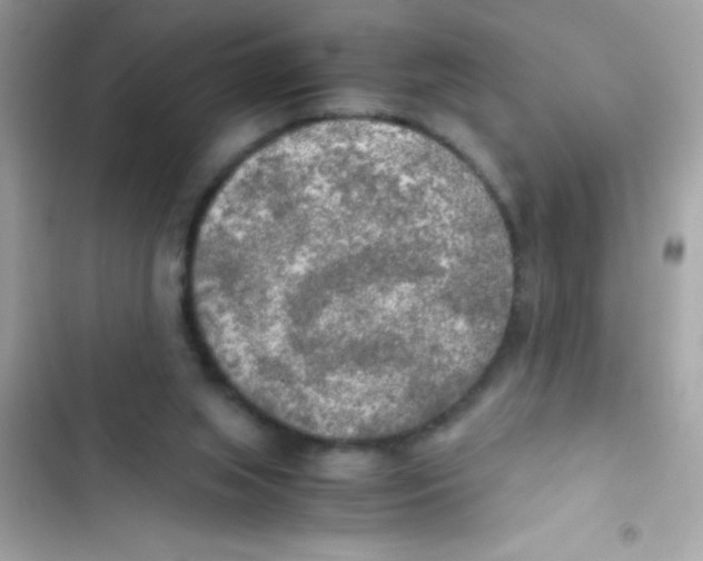 X0000103130063200809191951