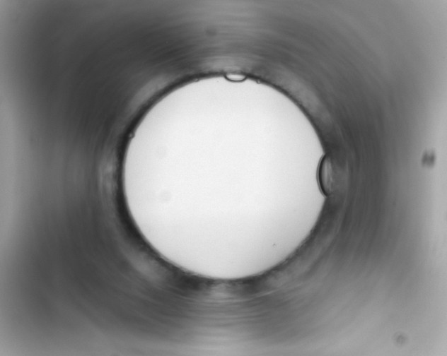 X0000103130064200809191951