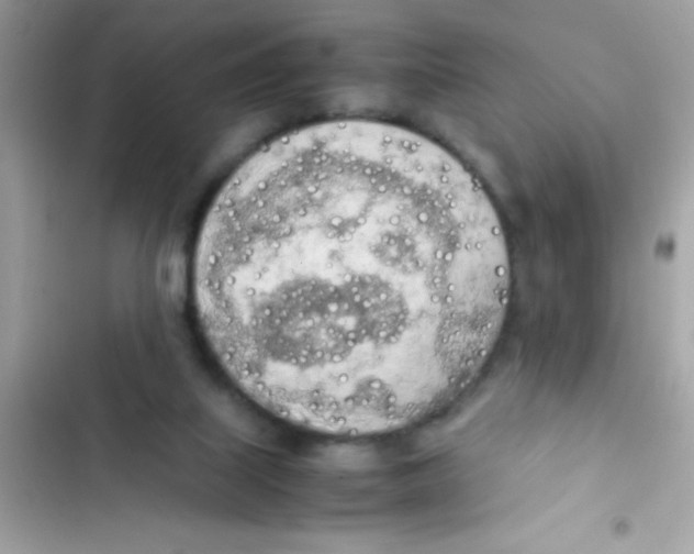 X0000103130067200809191951