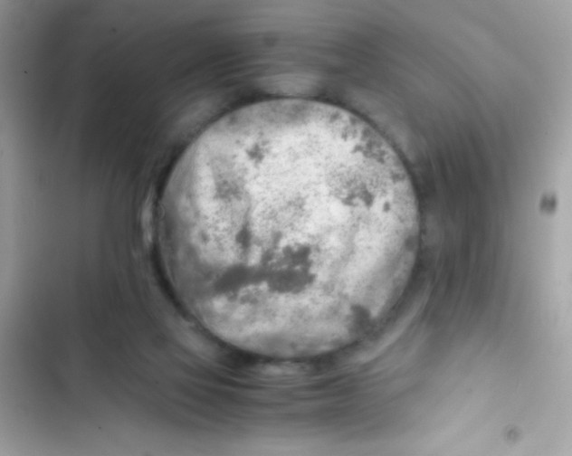X0000103130069200809191951