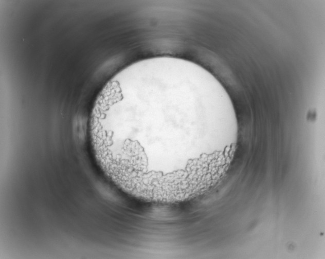 X0000103130070200809191951