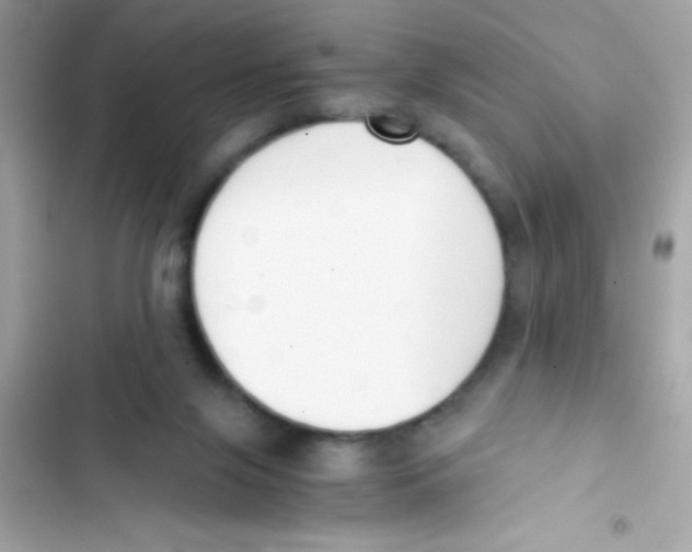 X0000103130071200809191951
