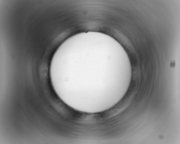 X0000103130072200809191951