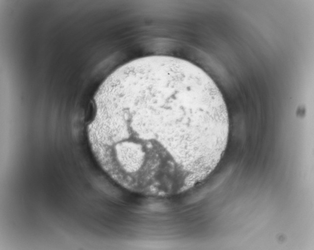 X0000103130073200809191951