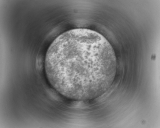 X0000103130074200809191951