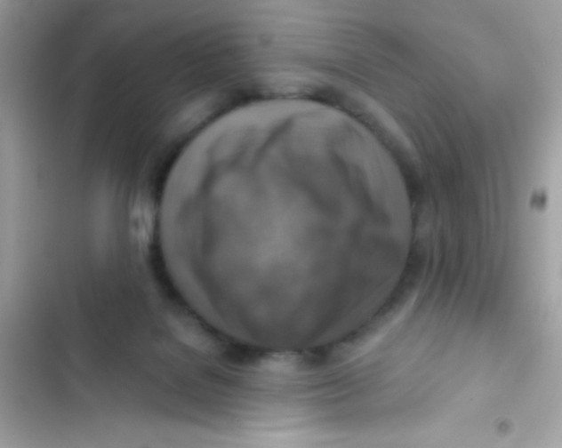 X0000103130076200809191951
