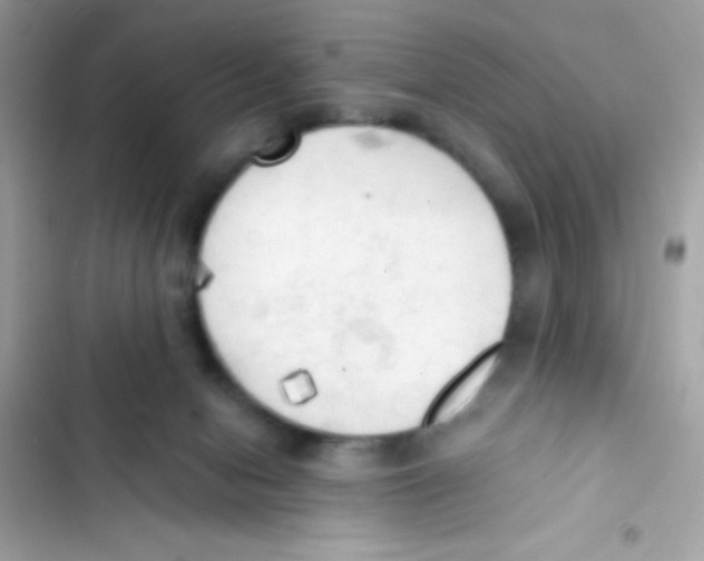X0000103130078200809191951