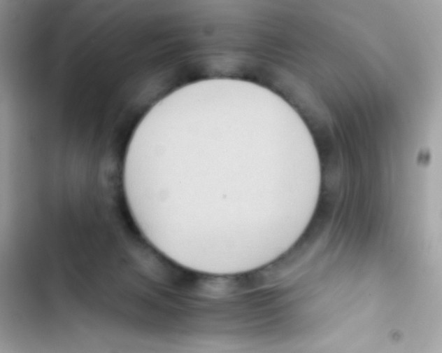 X0000103130079200809191951
