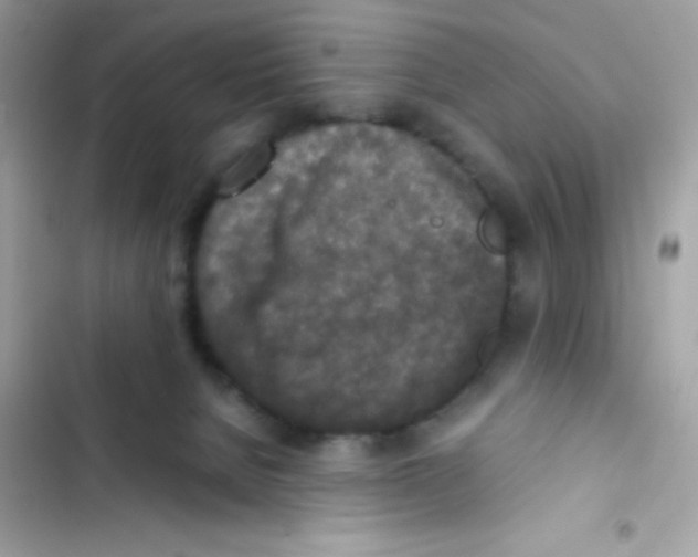 X0000103130080200809191951