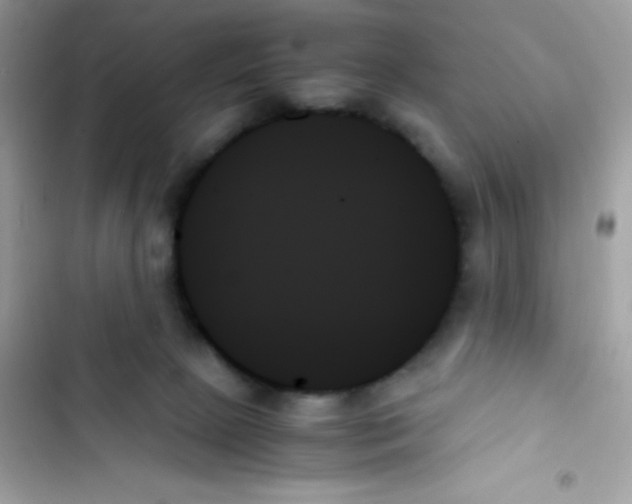 X0000103130081200809191951