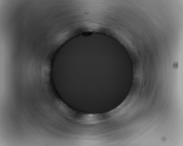 X0000103130082200809191951